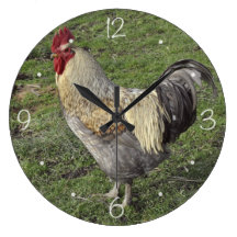 Coq croisé léger du Sussex Pendule