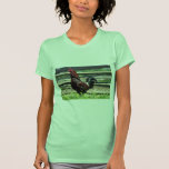 Coq T-shirts