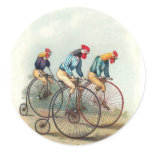 Coqs d'équitation