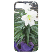 Coque iphone de lis de Pâques Coque iPhone 5