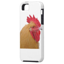 Coque iphone d'Orpington Coque iPhone 5