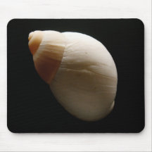 Coquillage #1 tapis de souris