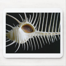 Coquillage #2 tapis de souris