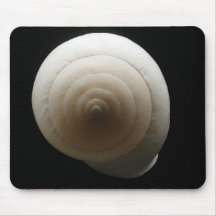 Coquillage #3 tapis de souris