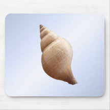Coquillage Tapis De Souris