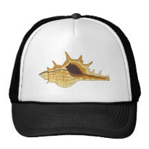 Coquille coquille casquette