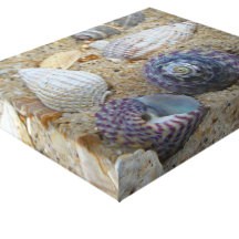 Coquilles Impression Sur Toile