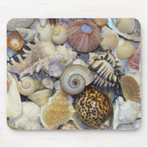 coquilles tapis de souris