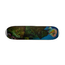 corail et poissons planches à roulettes customisées