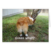 Corgi drôle cartes de vœux