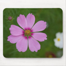 Cosmea Tapis De Souris