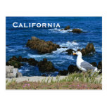 Côte de la Californie, carte postale