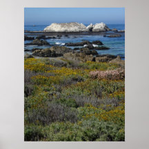 Côte de la Californie Posters