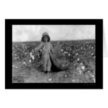 Coton de cueillette de garçon dans le Comanche, OK Cartes De Vœux