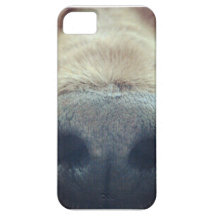 Couche iphone5 Cocker spaniel Anglaise Étui iPhone 5