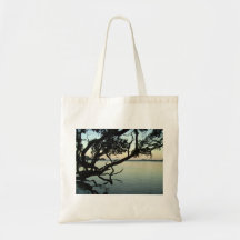 Coucher du soleil au-dessus de lac avec la silhoue sacs