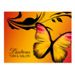 Coucher du soleil brillant du papillon 311 cartes postales