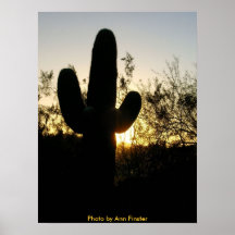 Coucher du soleil d'affiche/Saguaro
