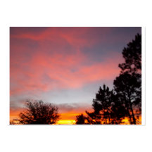 Coucher du soleil de la Floride Cartes De Visite Professionnelles