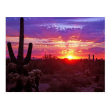 coucher du soleil de l'Arizona Carte Postale