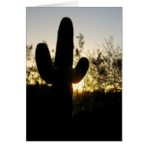 Coucher du soleil de Saguaro Carte