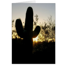 Coucher du soleil de Saguaro Carte