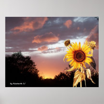 COUCHER DU SOLEIL D'ÉTÉ POSTERS