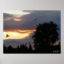 Coucher du soleil montant posters
