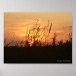 Coucher du soleil orange posters