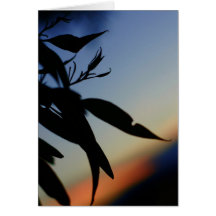 Coucher du soleil Silouette Cartes De Vœux