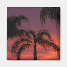 Coucher du soleil tropical magnets