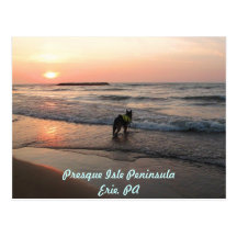 Couchers du soleil d'amour de chiens cartes postales