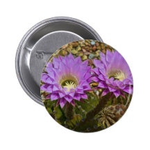 Couleur de cactus pin's avec agrafe