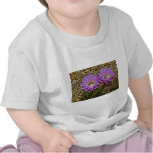 Couleur de cactus t-shirts