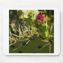 Couleur de cactus tapis de souris