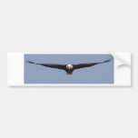 Couleur frontale d'Eagle Autocollants Pour Voiture