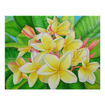 Couleur pour aquarelle de Frangipani Faire-parts