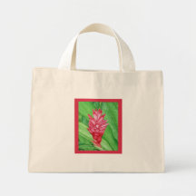 Couleur pour aquarelle de gingembre rouge sac