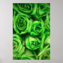 couleur verte de Rose-résumé Posters