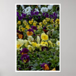 Couleurs très petites affiches