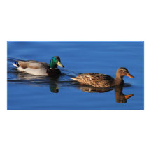 Couples de Mallard Cartes De Vœux Avec Photo