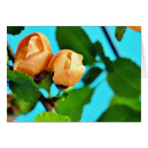 Couples des bourgeon floraux oranges carte de vœux