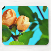 Couples des bourgeon floraux oranges tapis de souris