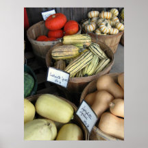 Courge d'automne, Paley Poster