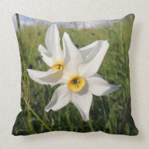 Coussin " Narcisse des poètes "