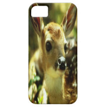 Couverture de l'iPhone 5 de cerfs communs Coque Case-Mate iPhone 5