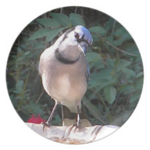 CP- nieuwsgierige Plaat Blujay Party Bord