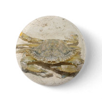 Crabe