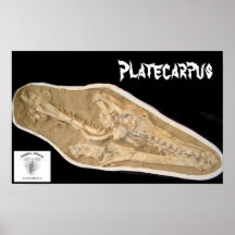 Crâne de Mosasaur dans Matrix Poster