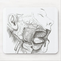 Crâne Mousepad Tapis De Souris